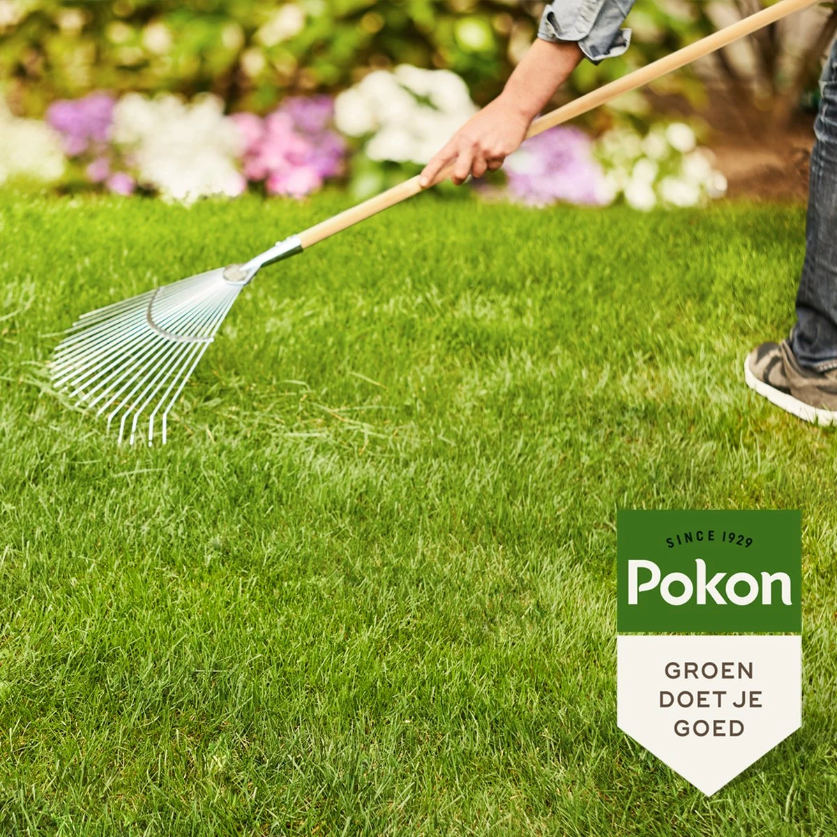 Pokon Gazonmest Met Kalk - 2 X 5kg - Mest - Geschikt Voor 2 X 75m² - 120 Dagen Voeding - Voordeelverpakking - Afbeelding 3