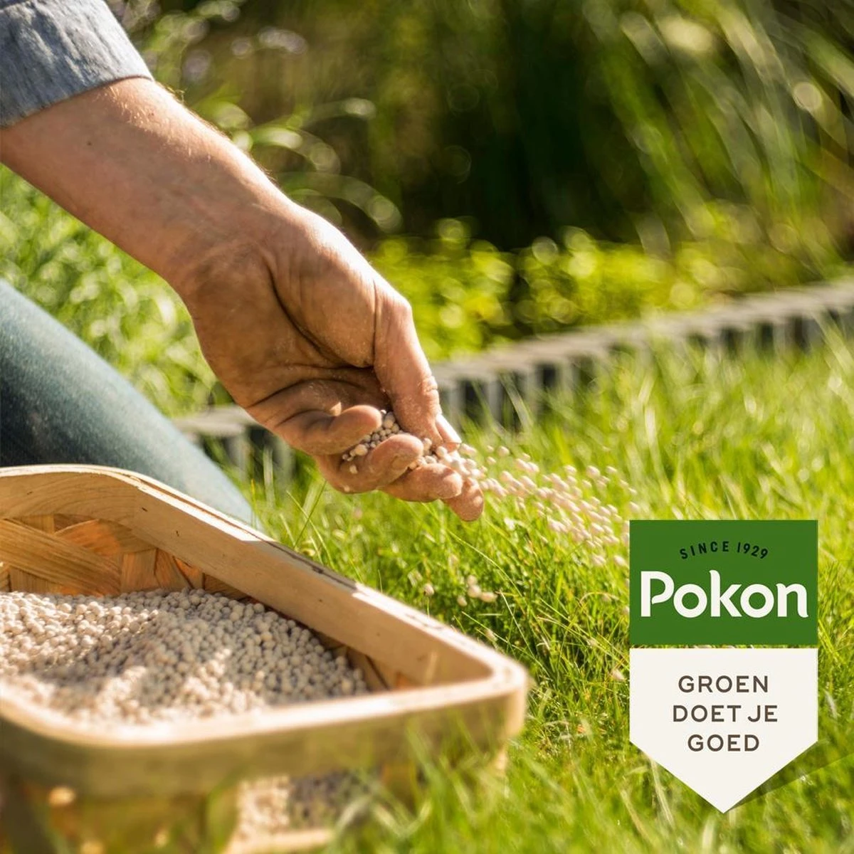 Pokon Bio Kalk - 10kg - Voor Een Betere Bodemstructuur - Afbeelding 5