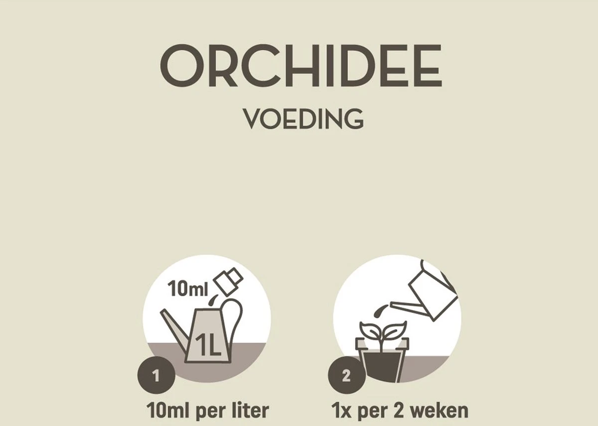 Pokon Orchidee Voeding - 250ml - Plantenvoeding - 10ml Per 1L Water - Afbeelding 3