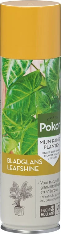 Pokon Bladglans 250 Ml