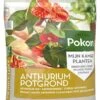 Pokon Anthurium Potgrond 5 L