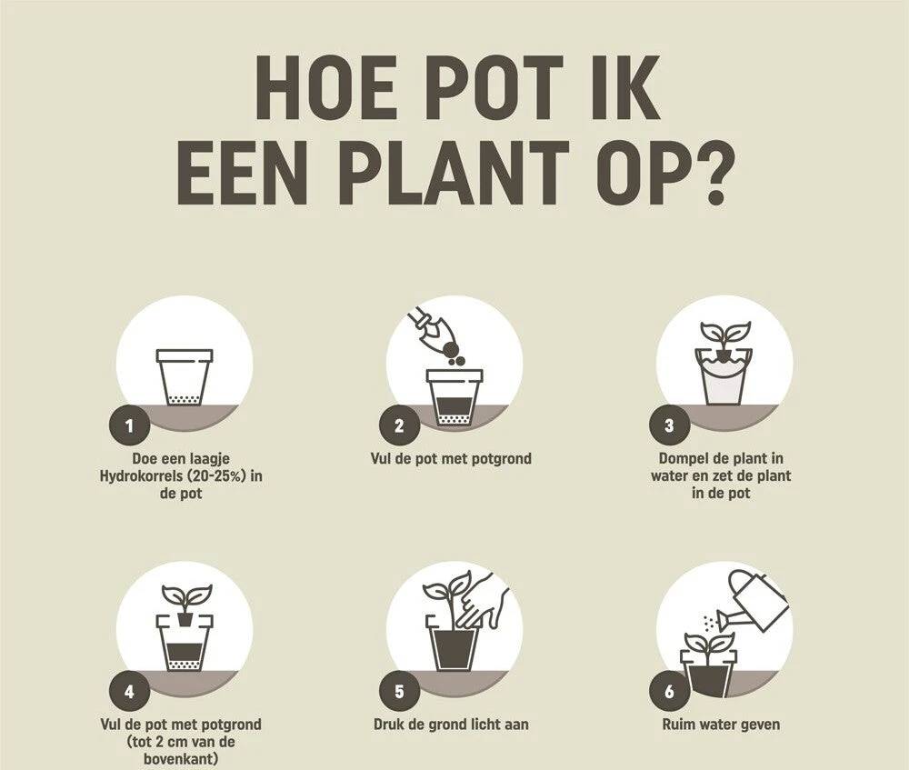 Pokon Kamerplant Potgrond 10 L - Afbeelding 4