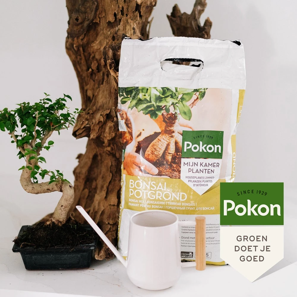 Pokon Bonsai Potgrond 5 L - Afbeelding 3