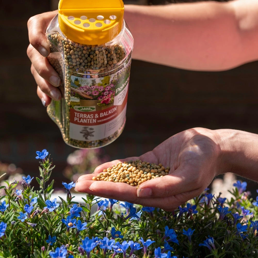 Pokon Langwerkende Voedingskorrels 1650 G - Afbeelding 4