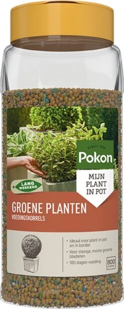 Pokon Strooibus Groene Plantenvoeding 800 G