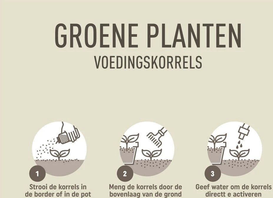 Pokon Strooibus Groene Plantenvoeding 800 G - Afbeelding 4