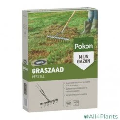 POKON GRASZAAD HERSTEL SOS 500 GRAM