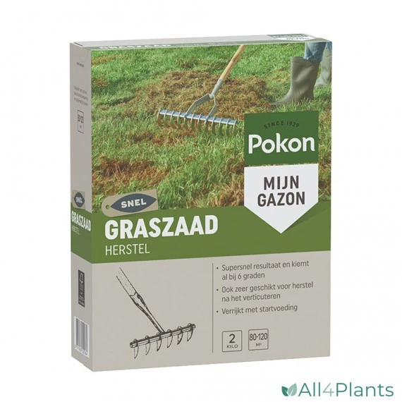 POKON GRASZAAD HERSTEL SOS 2 KG