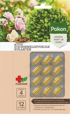Pokon Bio Plantkuur Schimmelgevoelige Planten Capsules 12 Stuks