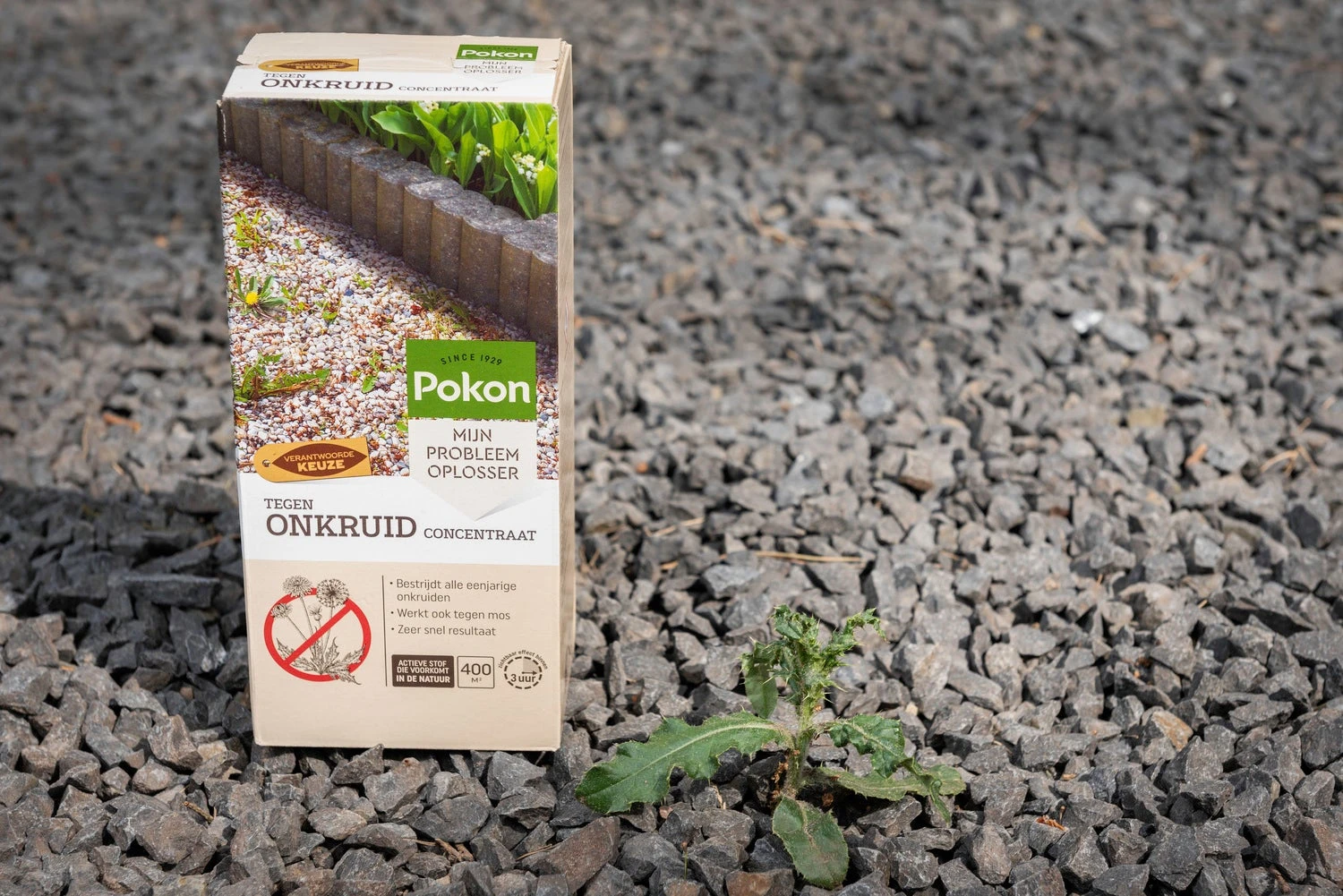 Pokon Tegen Onkruid Concentraat 225 Ml - Afbeelding 3