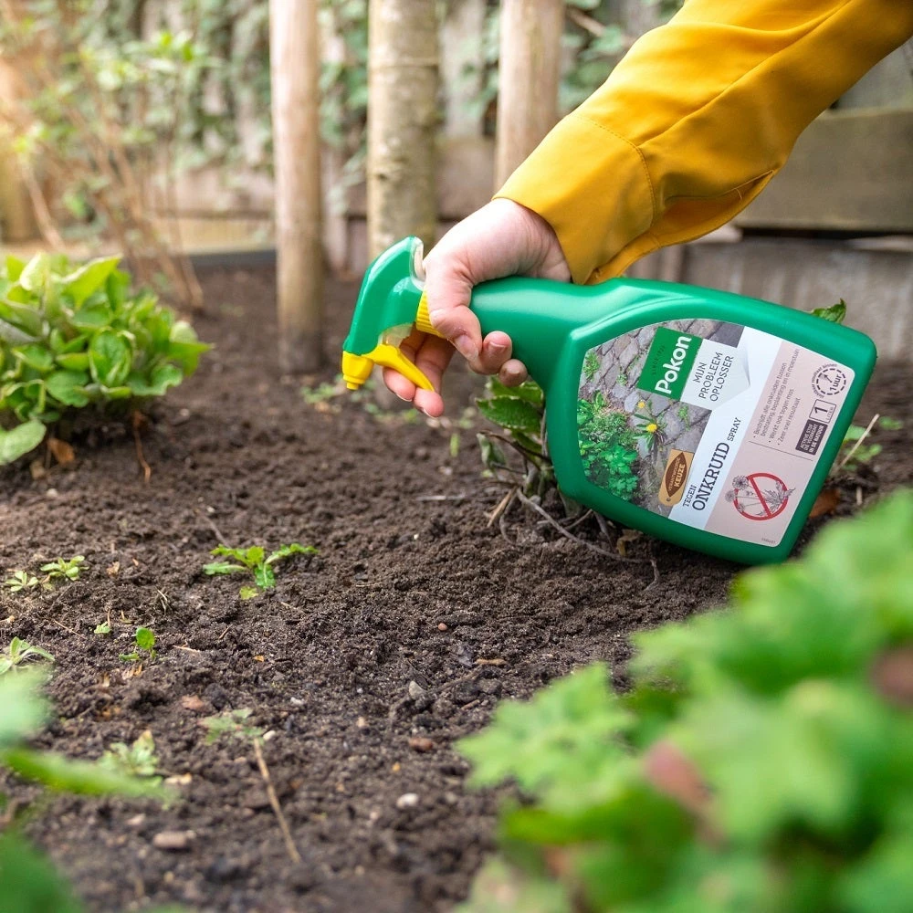 Pokon Onkruidverdelger Spray 3 L - Afbeelding 3