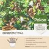 Pokon Buxusmotval