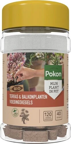 Pokon Bio Terras En Balkonplanten Voeding Langwerkende Kegels 40 Stuks