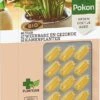 Pokon Bio Kuur Voor Weerbare En Gezonde Kamerplanten Capsules 12 Stuks