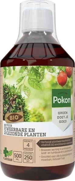 Pokon Bio Kuur Voor Weerbare En Gezonde Planten Concentraat 500 Ml