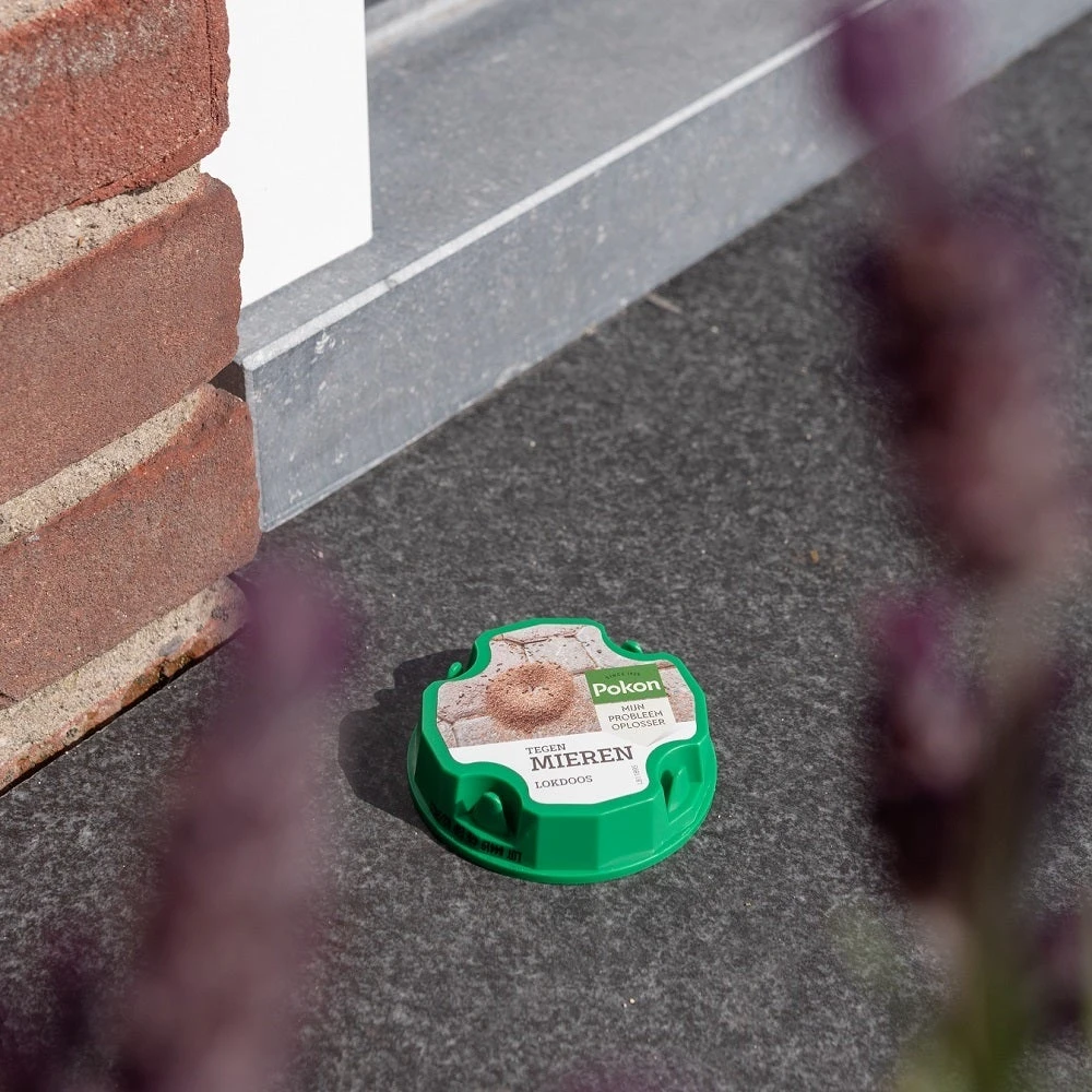 Pokon Tegen Mieren Lokdoos 2 Stuks - Afbeelding 3