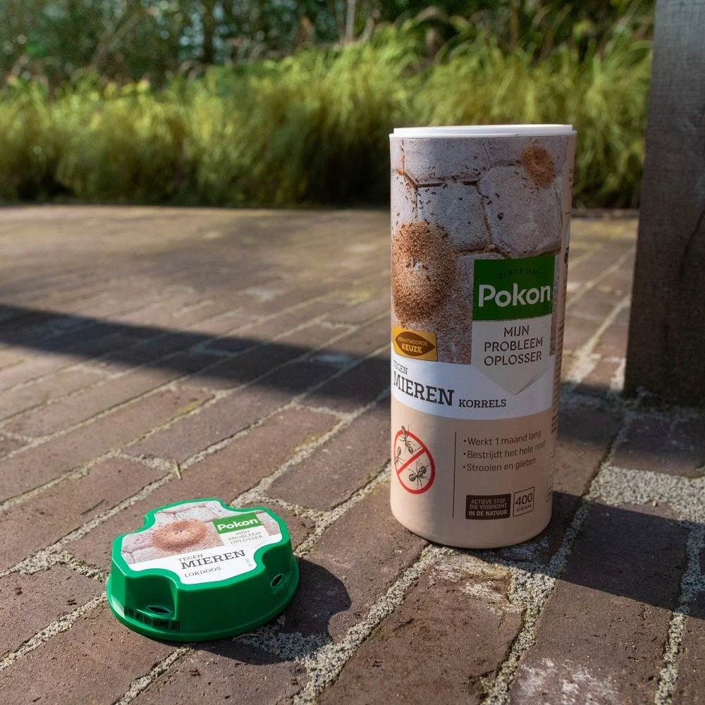 Pokon Tegen Mieren Lokdoos 2 Stuks - Afbeelding 5