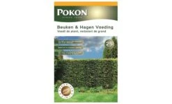 Beuken En Hagen Voeding, Pokon, 2.5 Kg