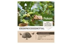 Eikenprocessiemotval, Pokon