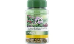 Meststof Terras En Balkonplanten Voedingskegels, Pokon, 40 St